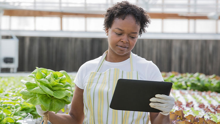 women holding a tablet in one hand and a vegetable in the other hand