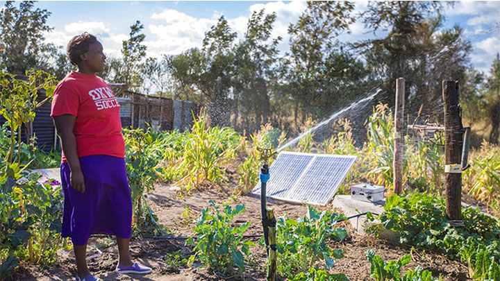 Woman on farm looking at solar irrigation system